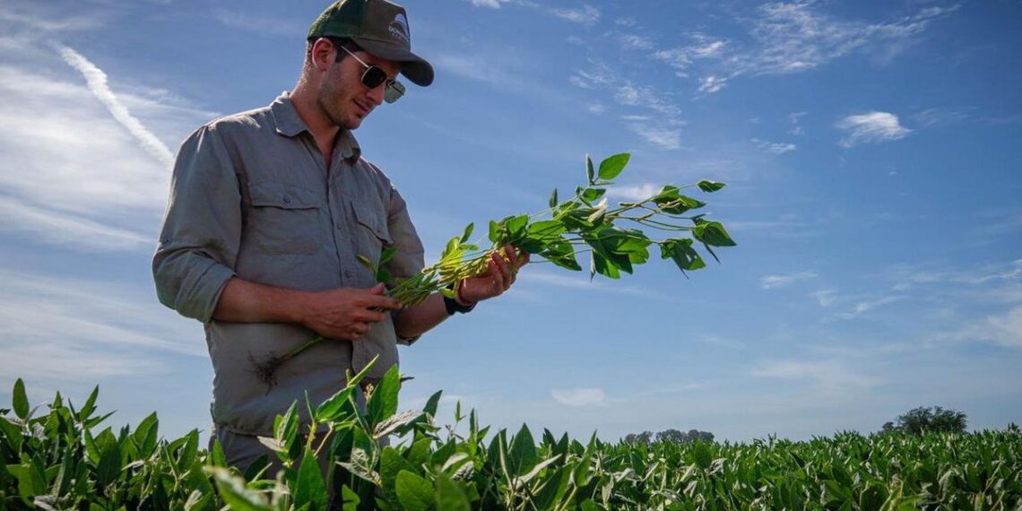 DONMARIO en Expoagro: más cerca del productor y con un ecosistema innovador