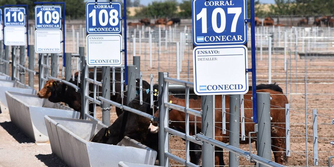 Conecar con agenda activa en el sector ganadero enExpoagro 2025