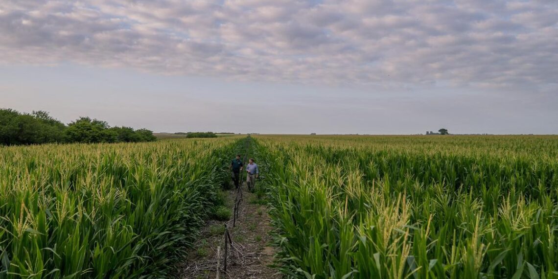 Se larga el “SupraRoad”, la gira de la genética y la agronomía
