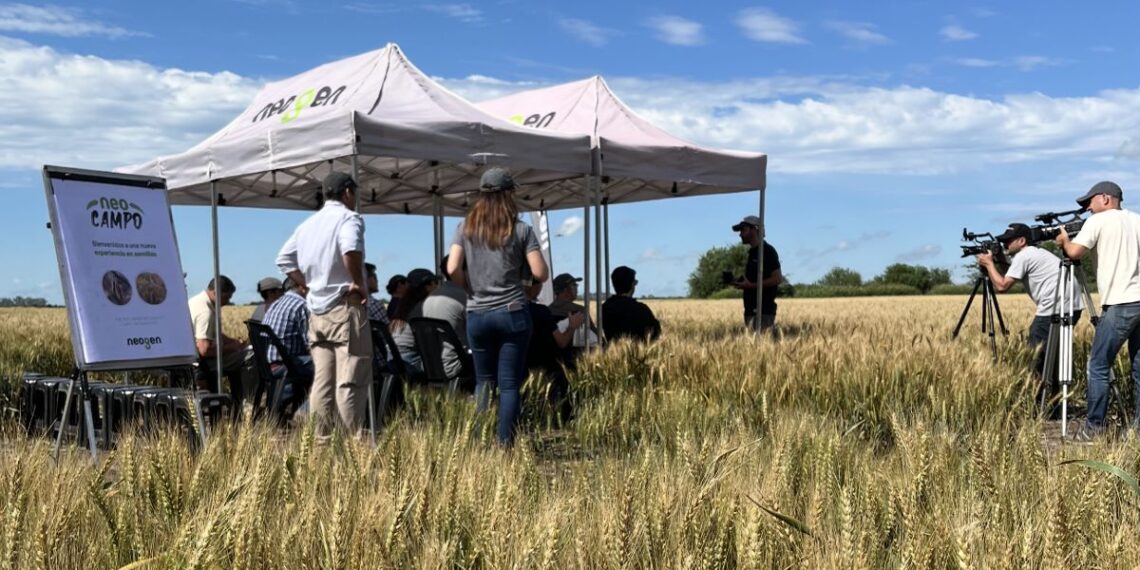 Neogen Semillas impulsa al agro y lanza productos con genética de vanguardia