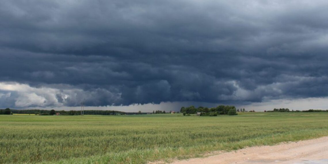 Cómo afectan a la cosecha las fuertes lluvias en la región núcleo