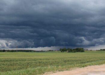 Cómo afectan a la cosecha las fuertes lluvias en la región núcleo