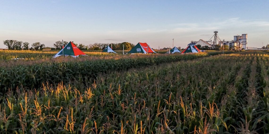“SupraRoad” hizo camino, atravesando miles de hectáreas de maíz