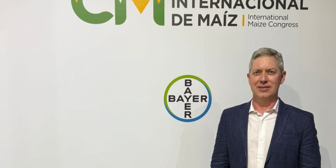 El maíz rompió los límites de lo agronómico en la Pampa semiárida