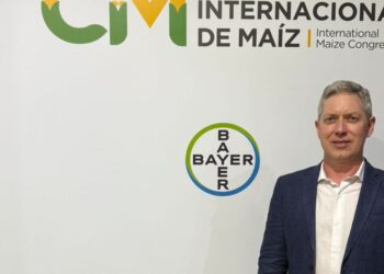 El maíz rompió los límites de lo agronómico en la Pampa semiárida