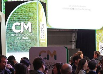 Congreso Internacional de Maíz: Todas las respuestas para la próxima campaña
