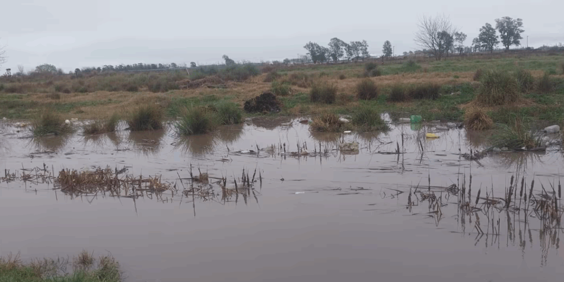 Tormenta histórica pone en jaque la siembra en el centro y oeste argentino