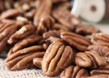 Israel habilita la importación de nuez pecán argentina sin cáscara y abre nuevas oportunidades para el sector