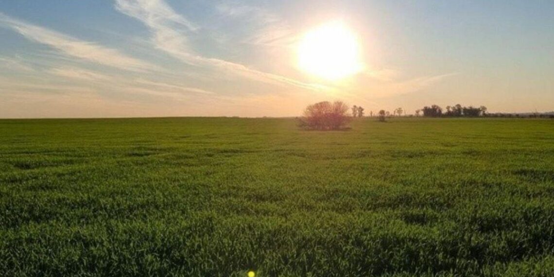 Una «Niña Débil» que pasa a ser «Neutral Perfecto»: qué le depara el clima al campo