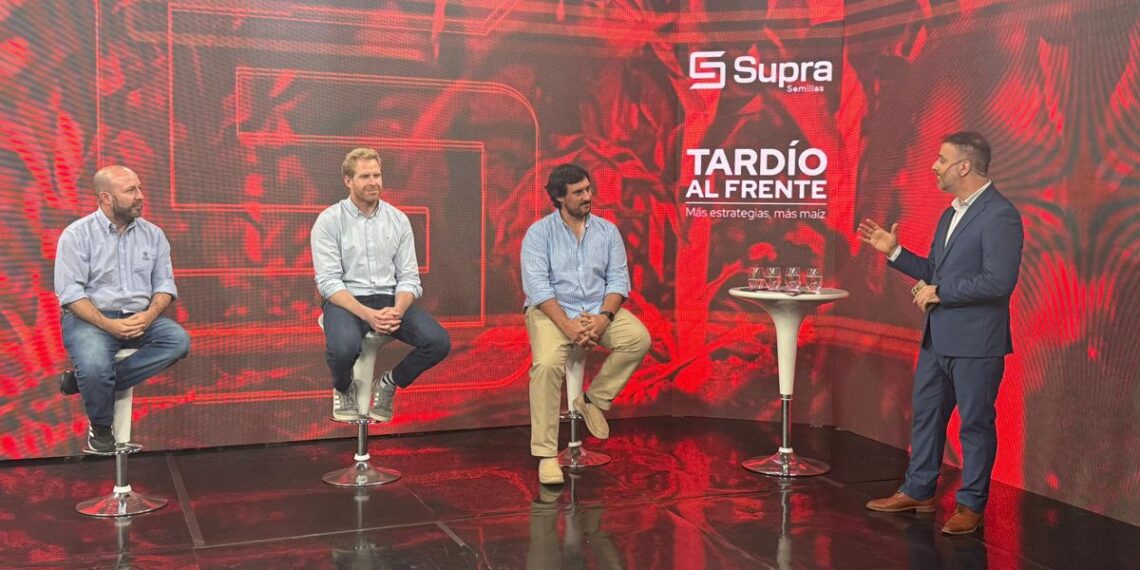 La clave genética y económica para fortalecer la estabilidad del maíz tardío