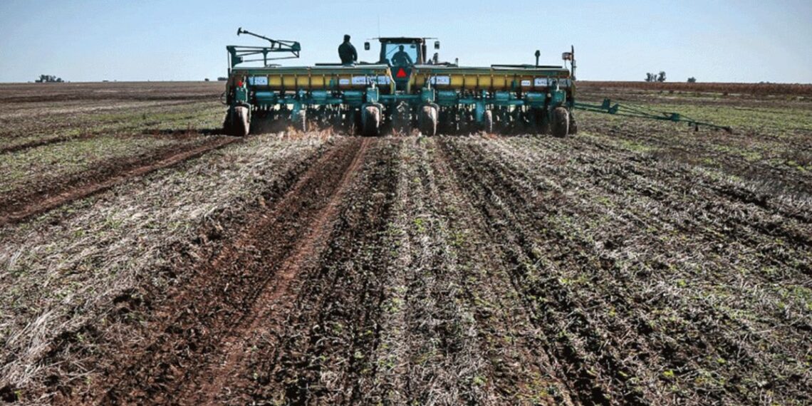 La actividad de la cadena agropecuaria alcanzó un máximo histórico en diciembre
