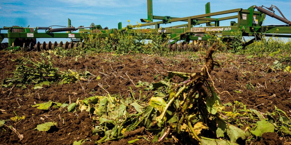 En Expoagro 2026, GIORGI pone la E en Evolución