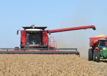 La actividad de la cadena agropecuaria volvió a crecer en febrero y alcanzó un nuevo máximo histórico