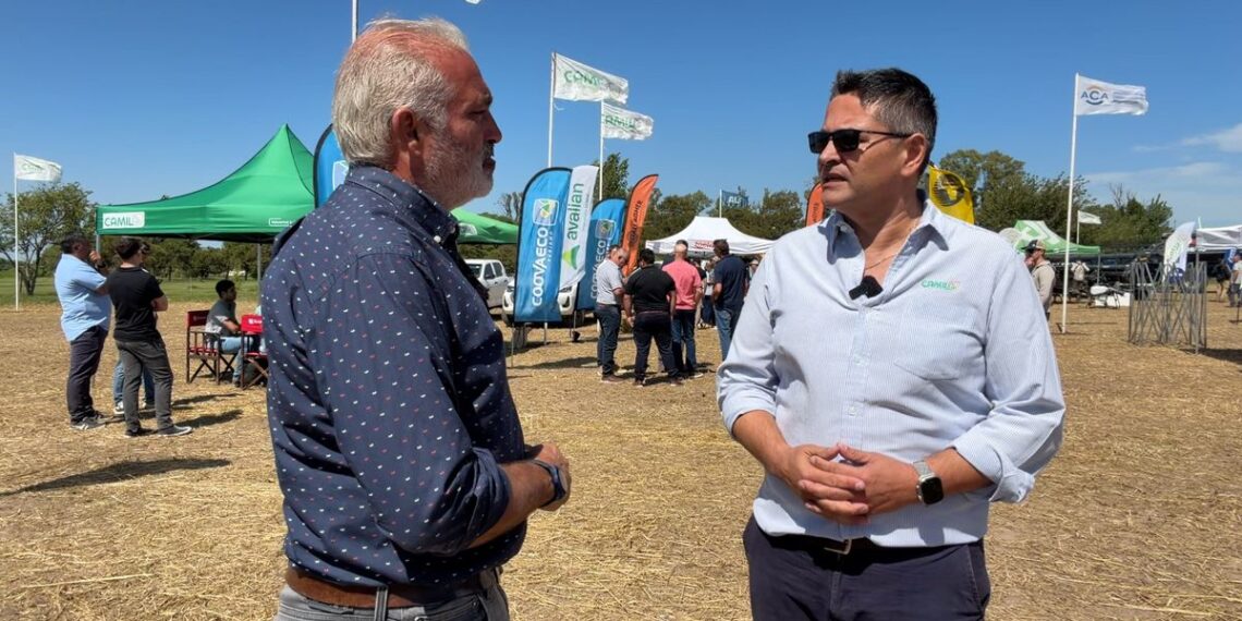 Germán Sánchez – Gerente Coop. Agropecuaria Mixta de Irigoyen Ltda