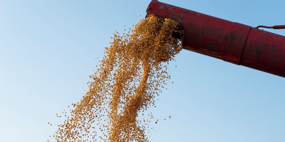 China bate récord de importación de soja en 2025 con Sudamérica como principal proveedor