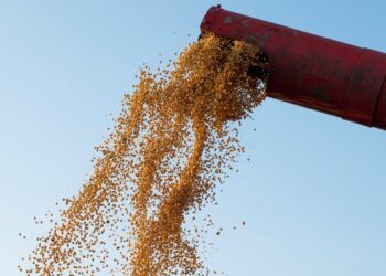 China bate récord de importación de soja en 2025 con Sudamérica como principal proveedor