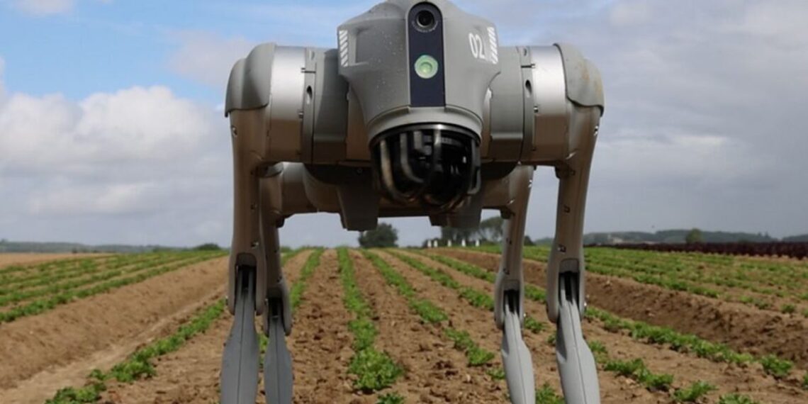La nueva generación del perro robot de Syngenta ya es una realidad