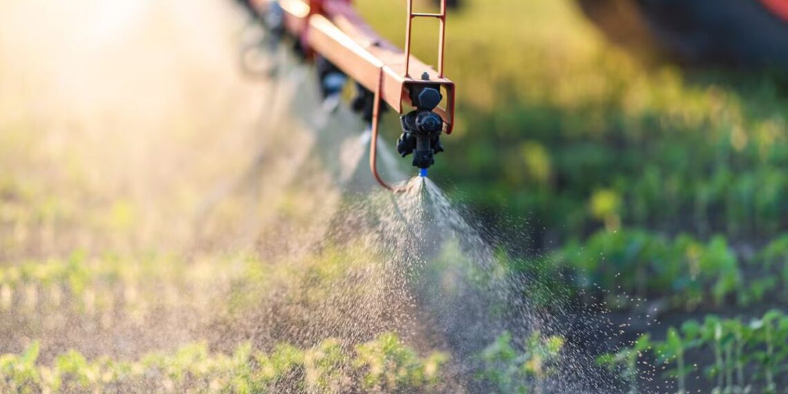 Las importaciones de fertilizantes alcanzaron su segundo mayor nivel del siglo en 2025
