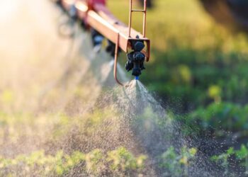 Las importaciones de fertilizantes alcanzaron su segundo mayor nivel del siglo en 2025