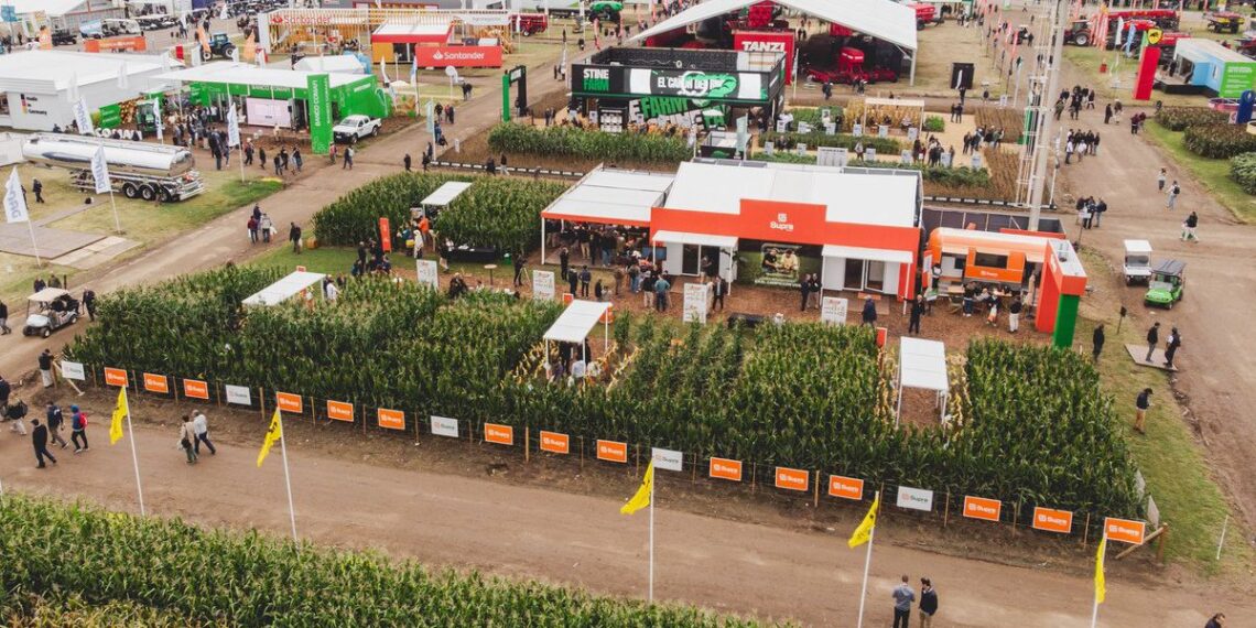 El liderazgo maicero presente en Expoagro 2026: con foco en la aptitud silera y la nueva genética