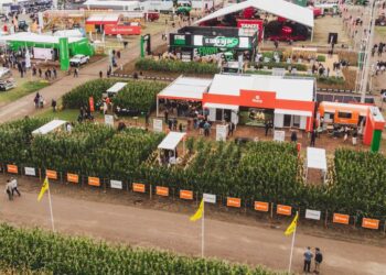 El liderazgo maicero presente en Expoagro 2026: con foco en la aptitud silera y la nueva genética
