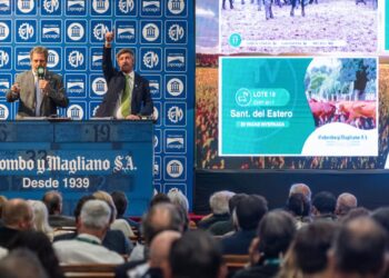 Vuelve el Gran Remate del Banco Nación: fuerte oferta y expectativas positivas