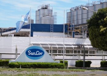 Quiebra de Sancor: Deuda millonaria y futuro atado a la venta de activos