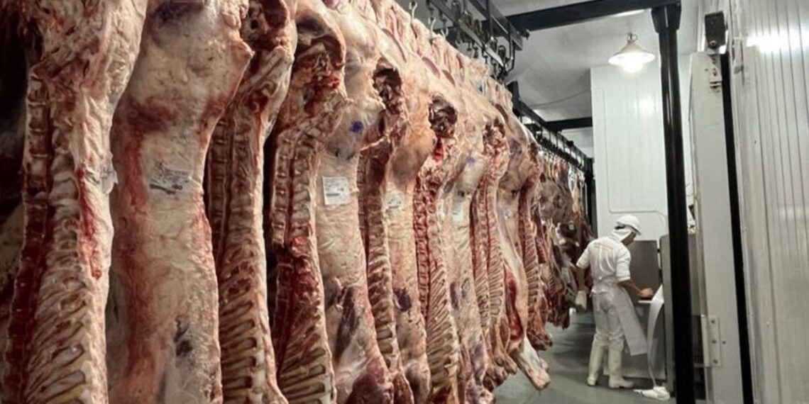 Las exportaciones de carne a EE.UU. tuvieron una fuerte suba y afirman que se generará un “círculo virtuoso”