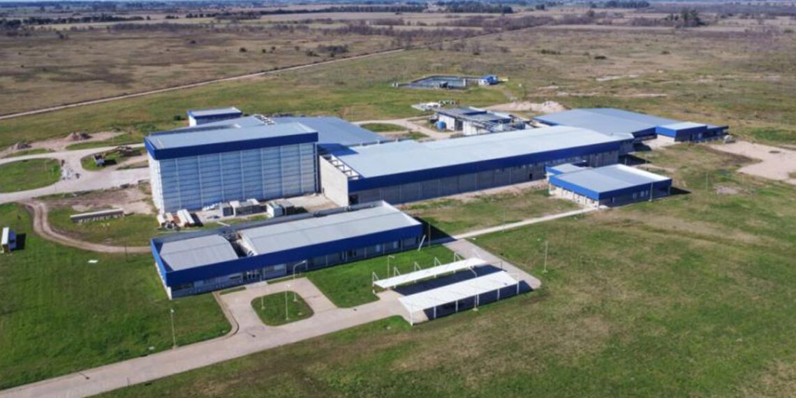 Megainversión en el sector porcino: un gigante español apuesta US$ 14 millones en Argentina