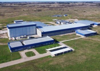 Megainversión en el sector porcino: un gigante español apuesta US$ 14 millones en Argentina