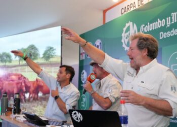 Banco Provincia impulsa los negocios ganaderos con un remate junto a Colombo y Magliano