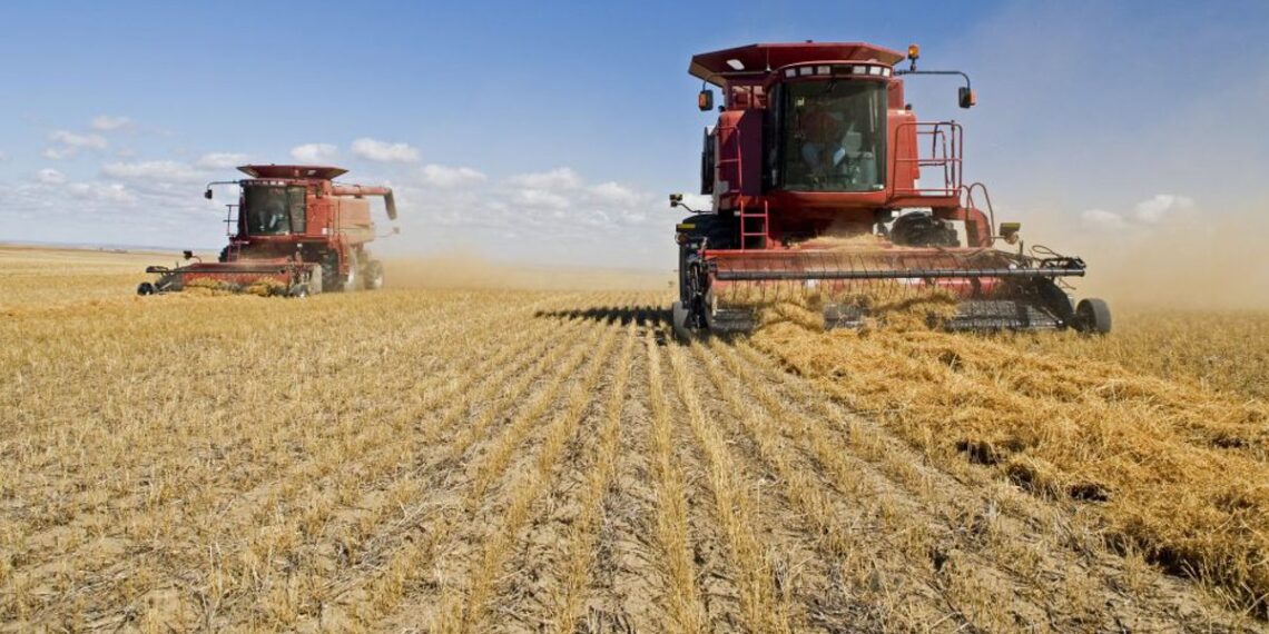 La actividad de la cadena agropecuaria recuperó dinamismo en mayo y quedó cerca de su máximo histórico