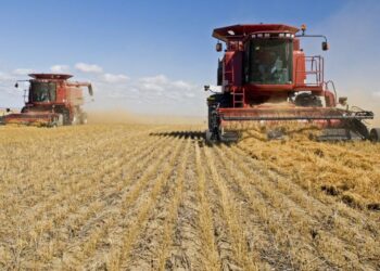 La actividad de la cadena agropecuaria recuperó dinamismo en mayo y quedó cerca de su máximo histórico