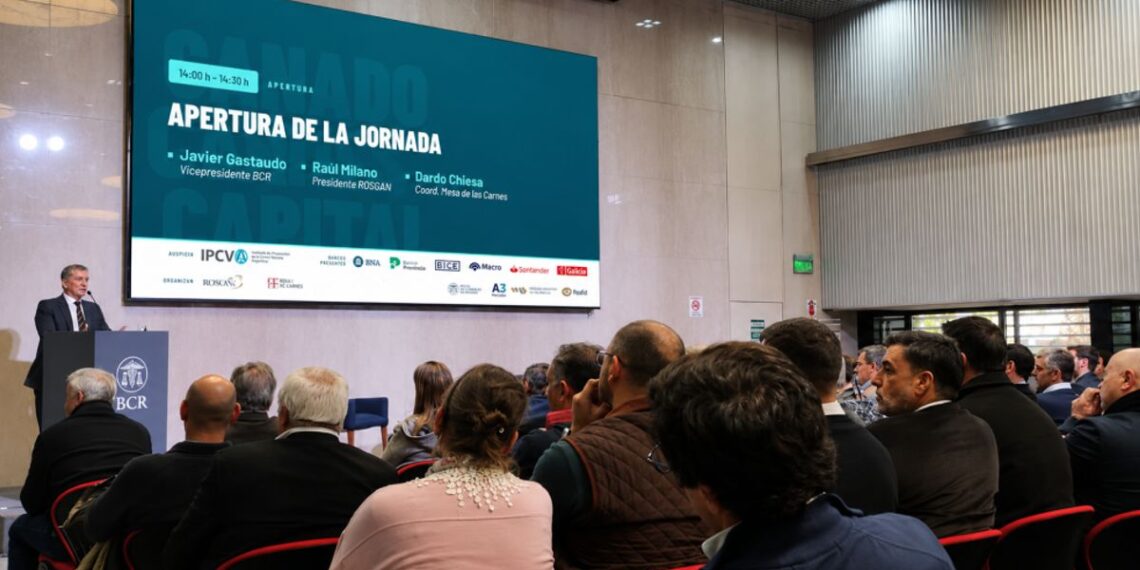 Ganado, carnes y capital: el financiamiento se instaló como el gran desafío para el crecimiento de la ganadería argentina