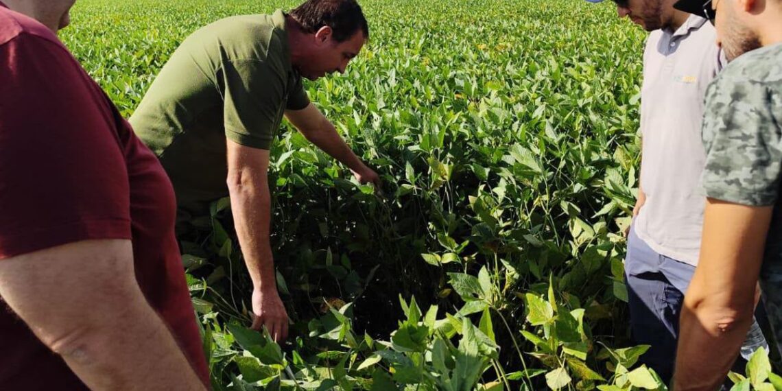 AAPRESID 2026: la agronomía vuelve al centro de la escena
