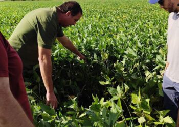 AAPRESID 2026: la agronomía vuelve al centro de la escena