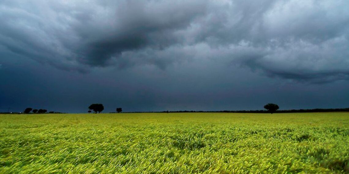 “Hay que aprovechar las ventanas del clima”: los desafíos de la campaña agrícola entre la humedad y los costos