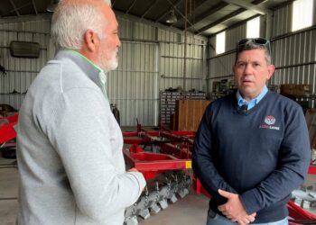 Desgramador picador de alta resistencia Agro Lions: Elimina malezas, tritura raíces y restos vegetales