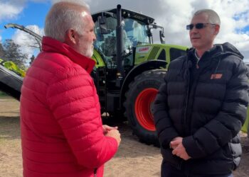 Martín Pérez – Titular de AgroCar, concesionario Claas