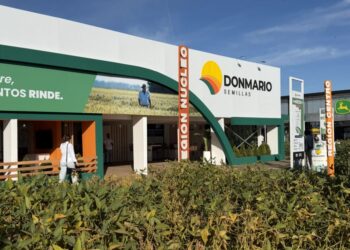 Soja en modo récord: cómo aprovechar un año Niño según los especialistas de DONMARIO