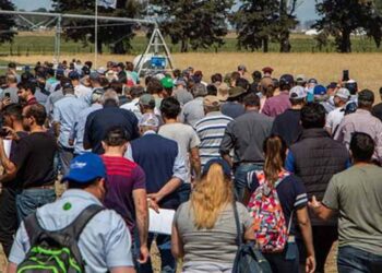 Del laboratorio al campo: INTA Manfredi mostrará el futuro del riego en funcionamiento