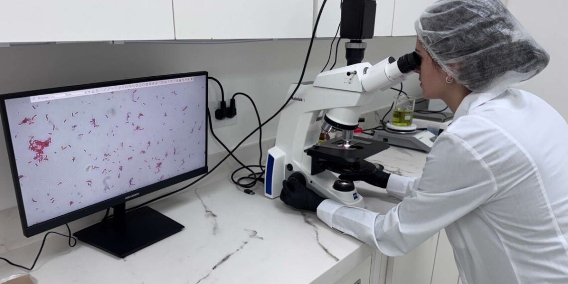 Microorganismos con funciones diferentes alrededor de una misma raíz