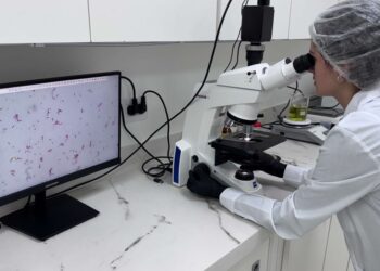 Microorganismos con funciones diferentes alrededor de una misma raíz