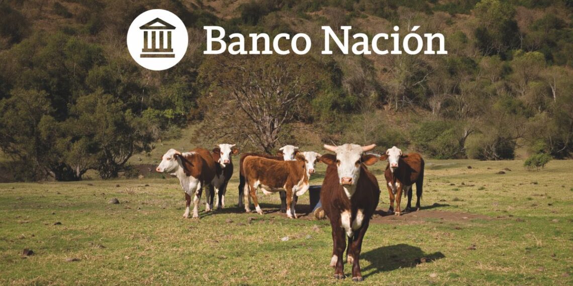 Banco Nación desembarca en Margarita Belén para acompañar a la comunidad Braford
