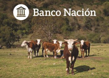 Banco Nación desembarca en Margarita Belén para acompañar a la comunidad Braford