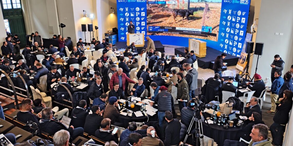 Banco Nación y ROSGAN impulsan el Gran Remate Aniversario con la fuerza de Expoagro