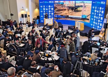 Banco Nación y ROSGAN impulsan el Gran Remate Aniversario con la fuerza de Expoagro